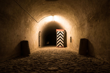 Festung Ehrenbreitstein zur Blauen Stunde 