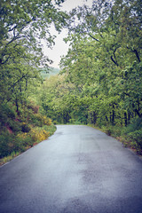 A wet rural road shines after a rainy spring day.