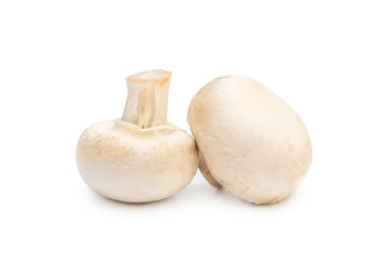 Two fresh champignons  on white.