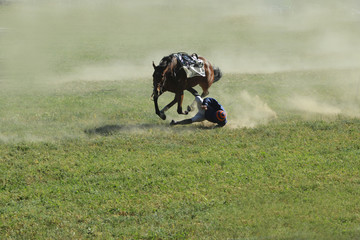 chute d'un cavalier lors d'une course en france