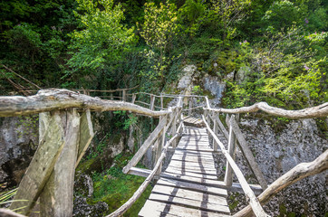 Obraz premium Emen Canyon, Bulgaria. Wood bridge over the river into a luxuriant forest