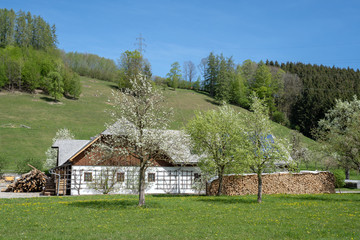 Idylle im Salzburger Land - Bauernhof in den Alpen