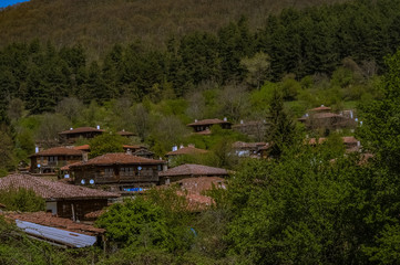 old house in the forest