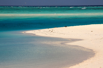 The Sea of the Maldives, Ari Atoll, wonderful landscape