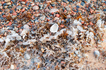 Coastal frozen pebble beach of Baltic sea. Moody wintrer day. Macro view.