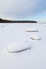 Frozen coast of Baltic sea covered by snow. Boulders, horizon and forest