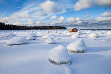 Frozen coast of Baltic sea covered by snow. Boulders, horizon and forest