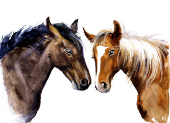 Obraz premium Watercolor sweet horses. Cute horses with love. Farm animals sketch