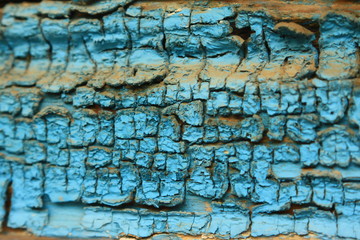 old wood painted in blue