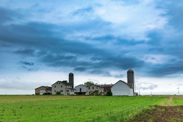 Fototapeta premium Simple Amish farm house with silos in rural Pennsylvania, Lancaster County, PA, USA