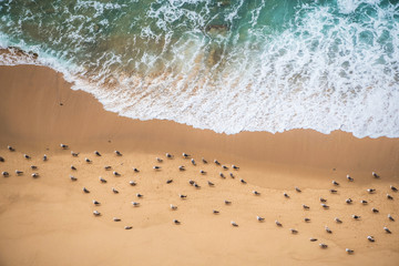 Top view of the ocean shore, seagulls sit on the edge of the water and waves