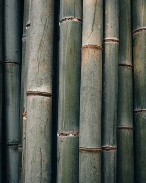 Kyoto Japan Bamboo details