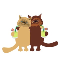 nice cats on white background