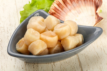 Raw scallops heap