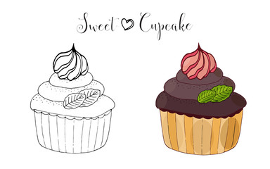 Vector isolated cake or cupcake, dessert with berry