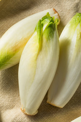 Raw Organic Belgian Endive