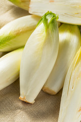 Raw Organic Belgian Endive