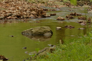 Spring time in Maryland parks