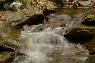 Spring time in Maryland parks