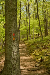 Spring time in Maryland parks
