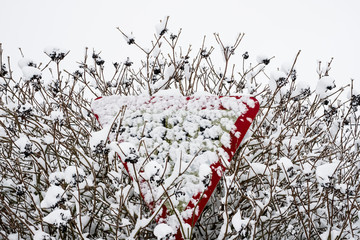 Close up of snow-covered triangular road sign partially hidden in a tree.,Aston Rowant