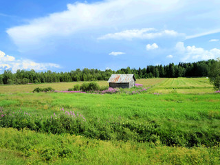 Obraz premium Idylle