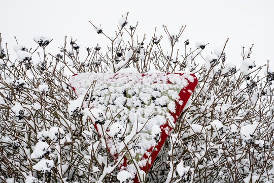 Close up of snow-covered triangular road sign partially hidden in a tree.,Aston Rowant