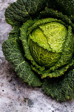 Still life, a fresh round green savoy cabbage