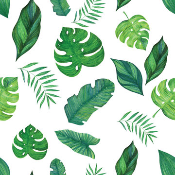 Seamless pattern. Hand drawn tropical leaves on a white background.