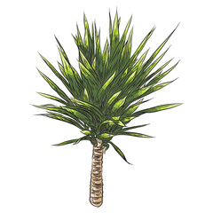 Fototapeta premium Bright vivid drawn tropical plant and leaves. Fresh exotic leaves and branch from the jungle forest.
