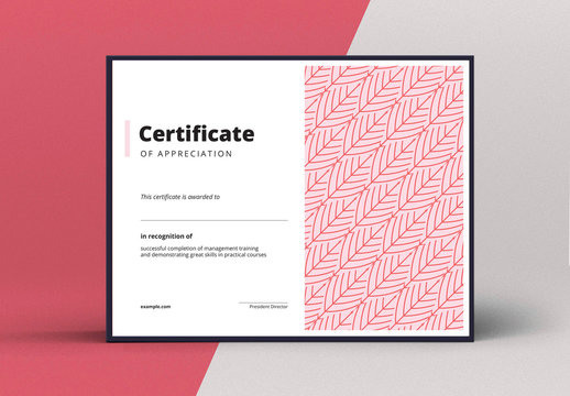 Certificate of Appreciation Layout with Red Elements