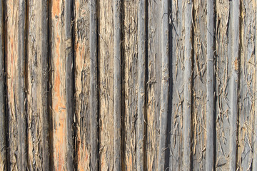 Wooden gates with old peeling paint