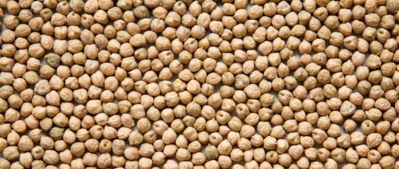 Dried chickpeas on a white wooden background, overhead view. Top view, from above.