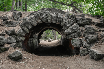 Old bridge in the forest