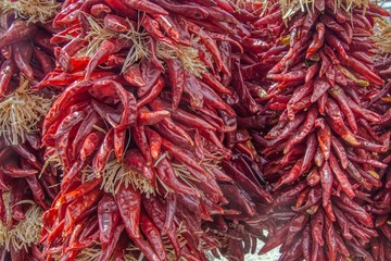 Fototapeta premium Chile Peppers on Display and for sale in Santa Fe, New Mexico