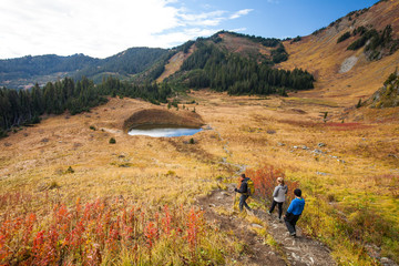 Three active people hike through golden alpine meadow.
