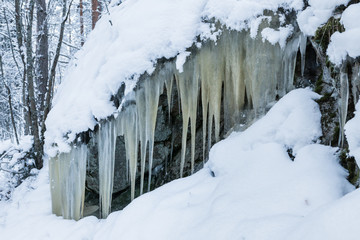 Icicles hanging over rock in the forest