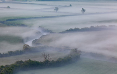 Misty Morning on the Somerset Levels