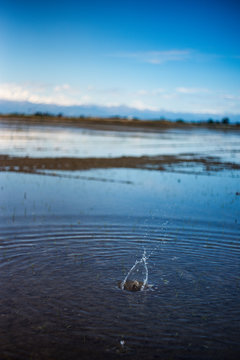 cerchi concentrici sull'acqua di una risaia