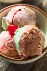 Sweet Spumoni Ice Cream
