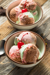 Sweet Spumoni Ice Cream