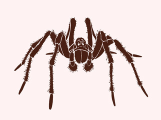 Graphical tarantula spider, vector vintage illustration
