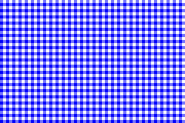 Blue Gingham pattern. Texture from rhombus/squares for - plaid, tablecloths, clothes, shirts, dresses, paper, bedding, blankets, quilts and other textile products. Vector illustration EPS 10