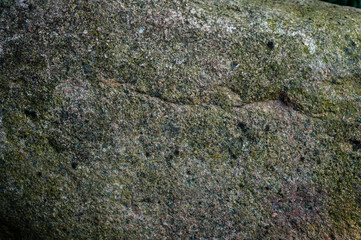 Texture of wild natural stone
