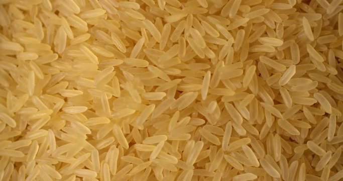 Paddy grain unpolished brown rice falling and rotating in slow motion. Extreme close up top view, shot on RED 6K camera
