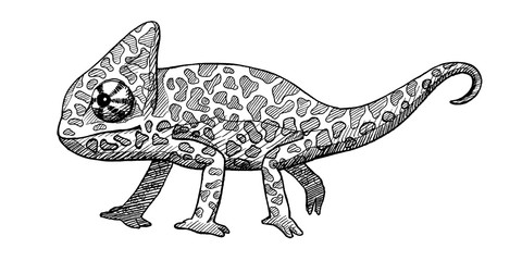 chameleon, ink hand drawn vintage isolated illustration © dmitry375