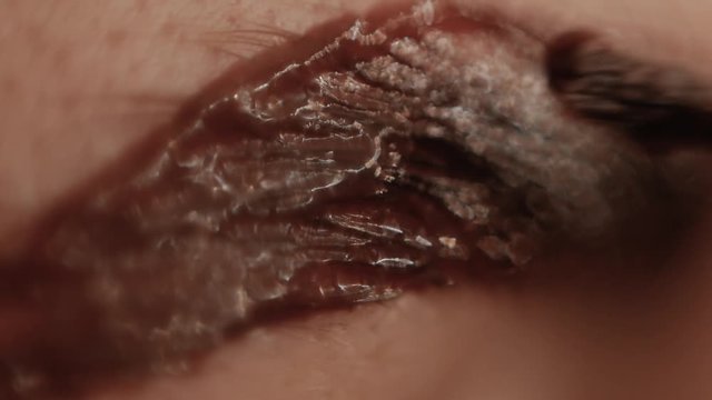 Extreme close-up of apply paint with brush on the eyebrow. Part of eyebrow correction procedure close up. Professional care for face in beauty saloon