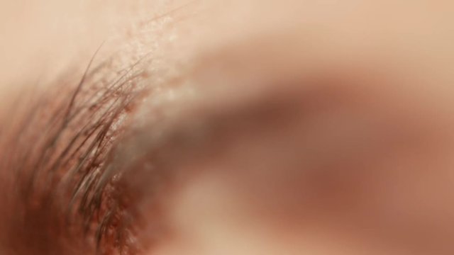 Extreme close-up of painted eyebrow. Professional care for face in beauty saloon