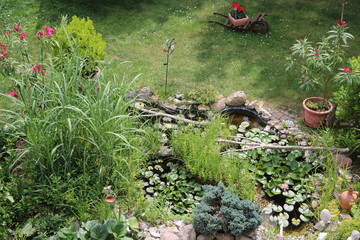 Lily pond  in the garden in summer, Germany