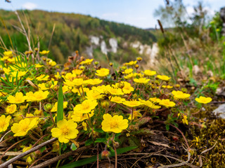  Polish Jurassic Highland